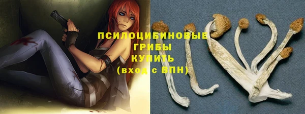 прущий лед Арсеньев