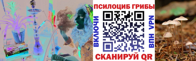 Галлюциногенные грибы Psilocybine cubensis  Купить где  Порхов 