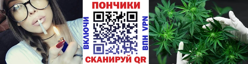 Бошки Шишки MAZAR Порхов